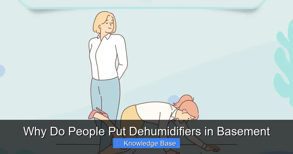 Why Do People Put Dehumidifiers in Basement