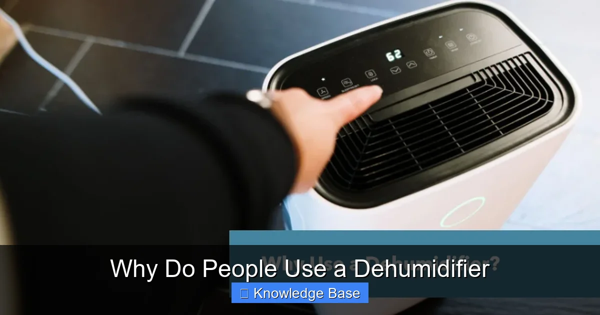 Why Do People Use a Dehumidifier