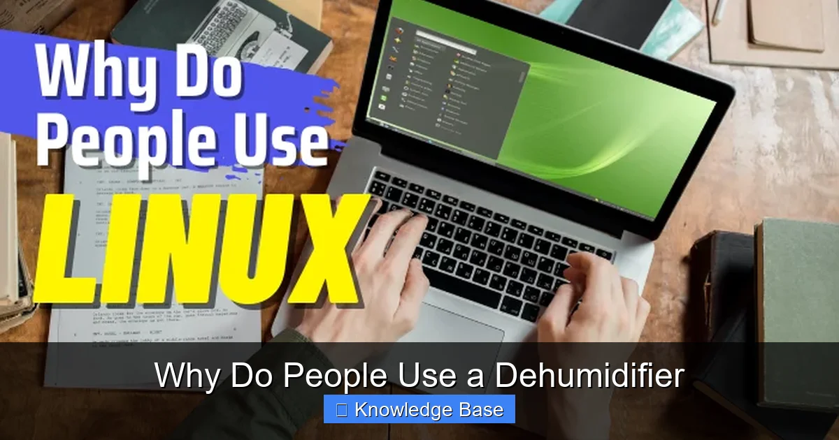 Why Do People Use a Dehumidifier