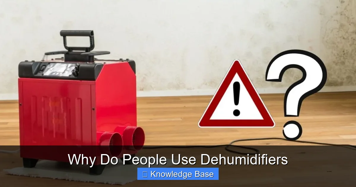 Why Do People Use Dehumidifiers