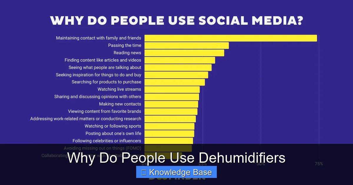 Why Do People Use Dehumidifiers