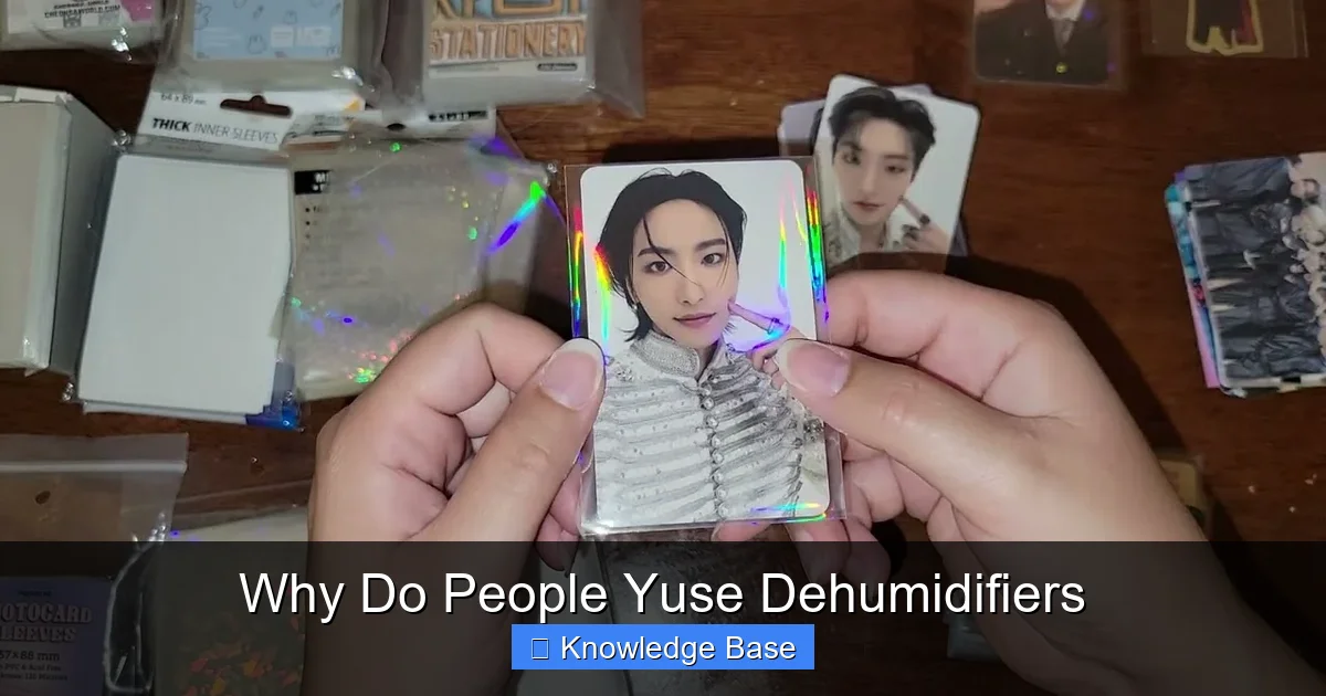 Why Do People Yuse Dehumidifiers