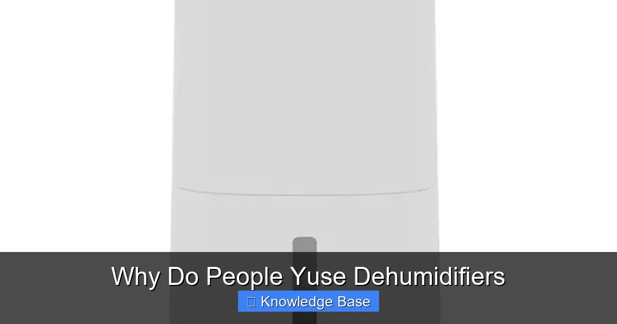 Why Do People Yuse Dehumidifiers