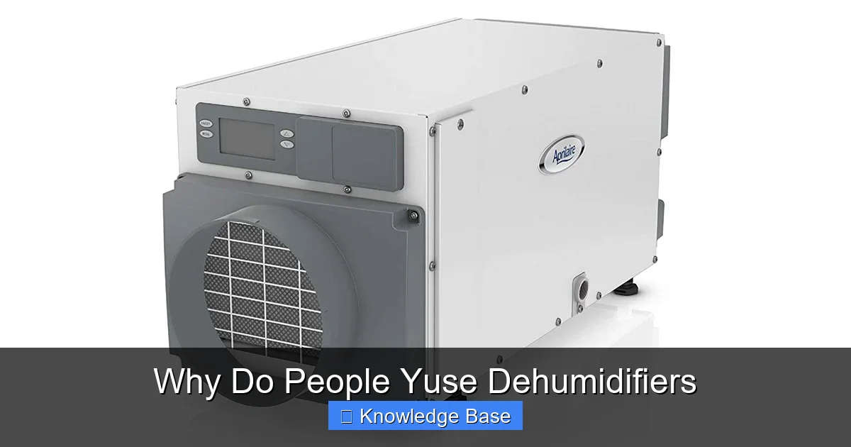 Why Do People Yuse Dehumidifiers