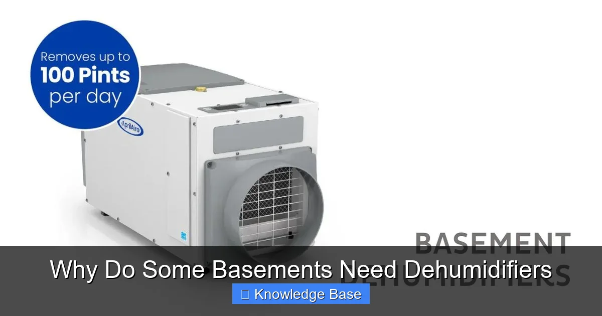 Why Do Some Basements Need Dehumidifiers