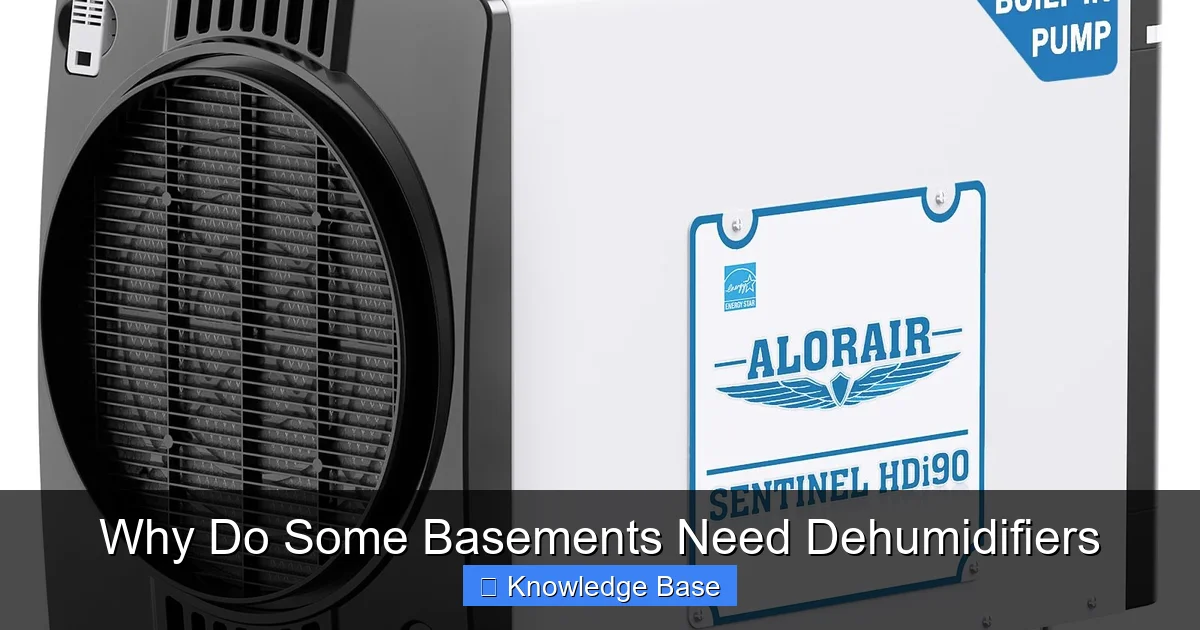 Why Do Some Basements Need Dehumidifiers