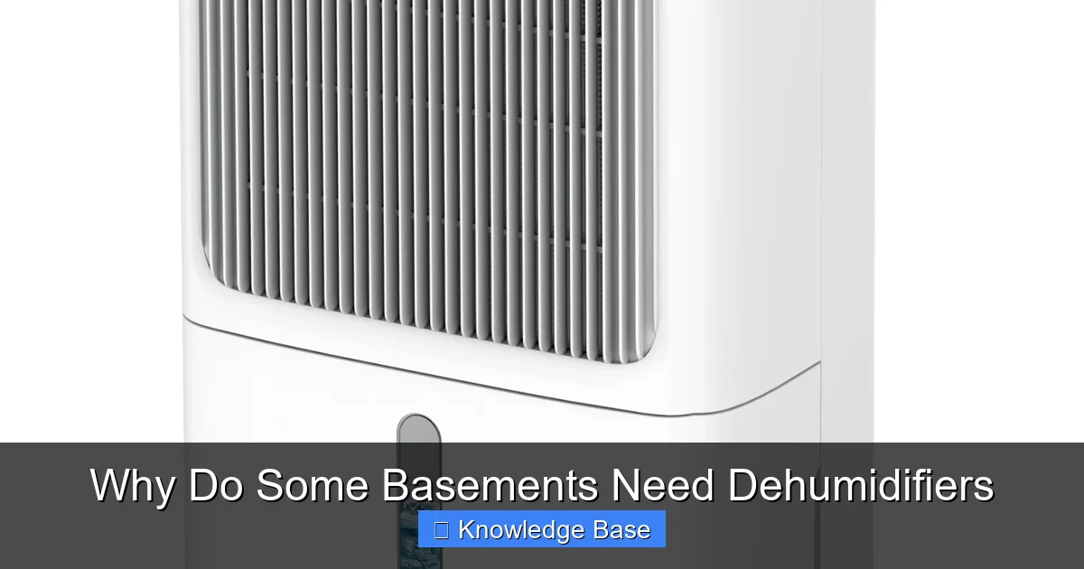 Why Do Some Basements Need Dehumidifiers
