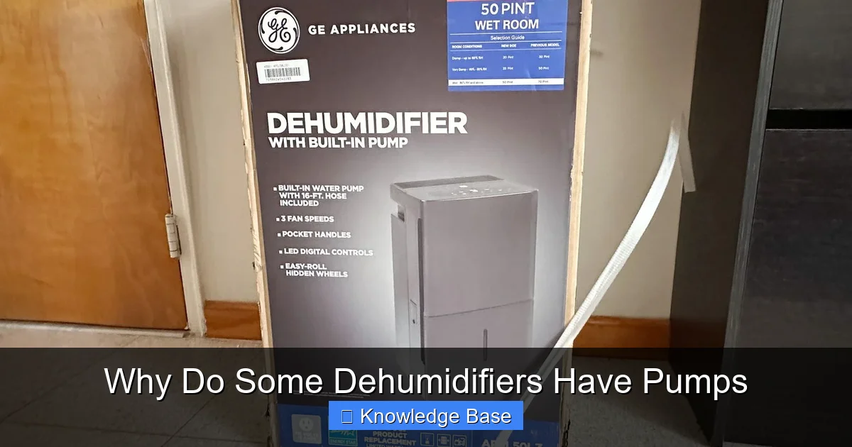 Why Do Some Dehumidifiers Have Pumps