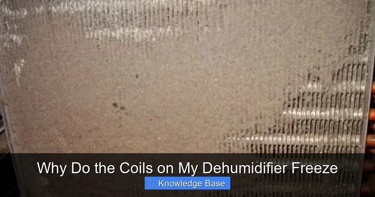 Why Do the Coils on My Dehumidifier Freeze