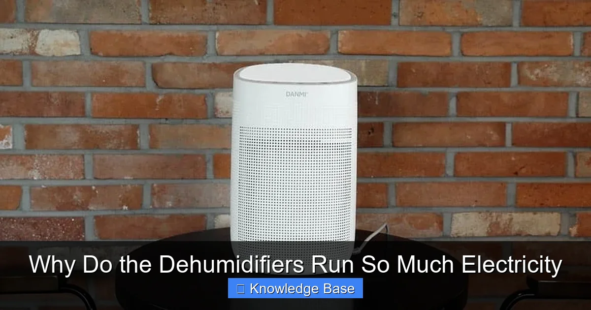 Why Do the Dehumidifiers Run So Much Electricity