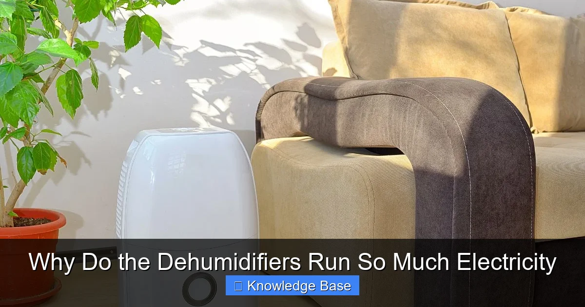Why Do the Dehumidifiers Run So Much Electricity