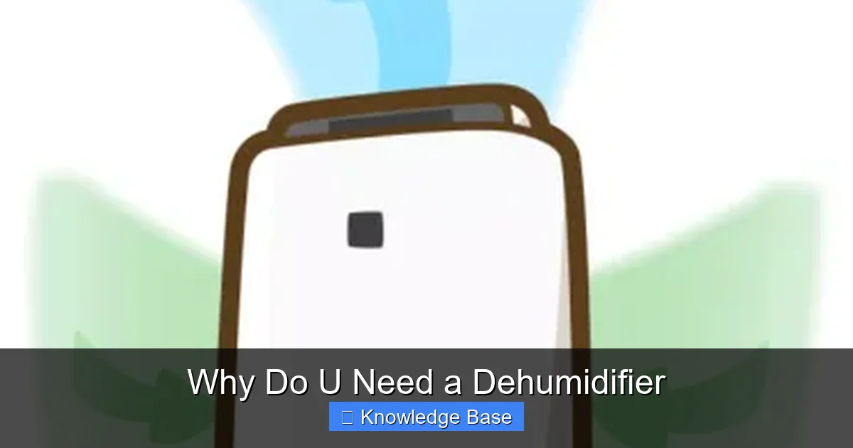Why Do U Need a Dehumidifier