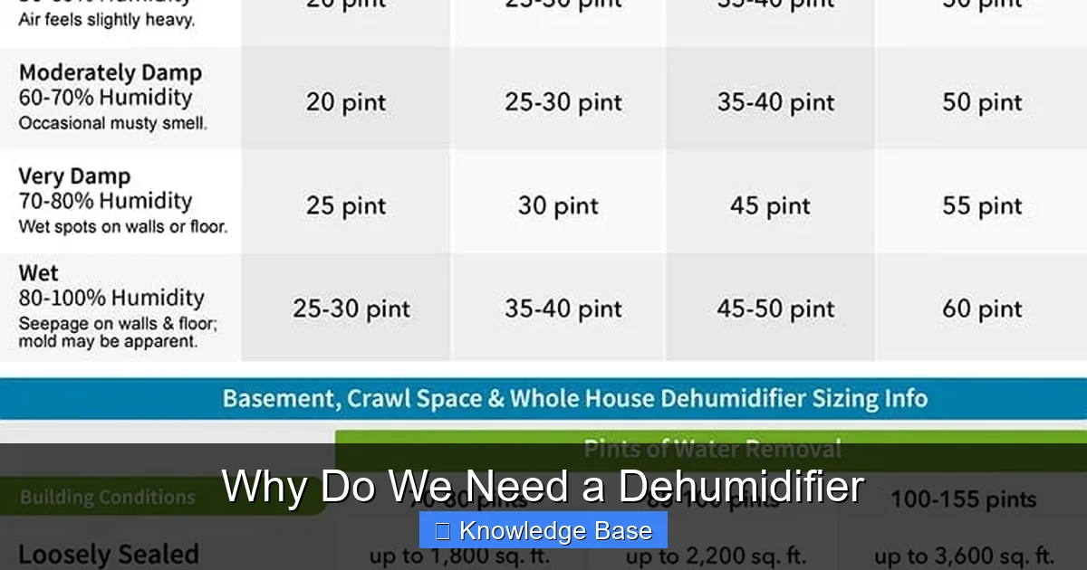 Why Do We Need a Dehumidifier