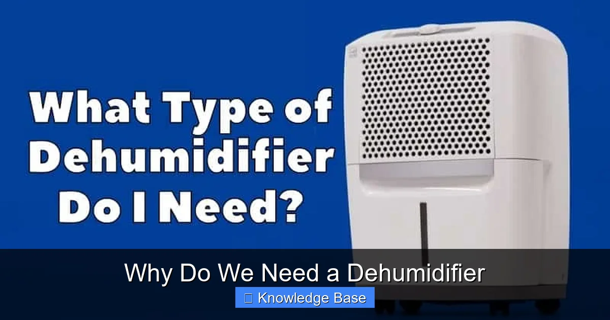 Why Do We Need a Dehumidifier