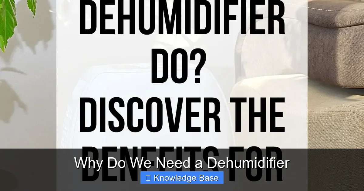 Why Do We Need a Dehumidifier