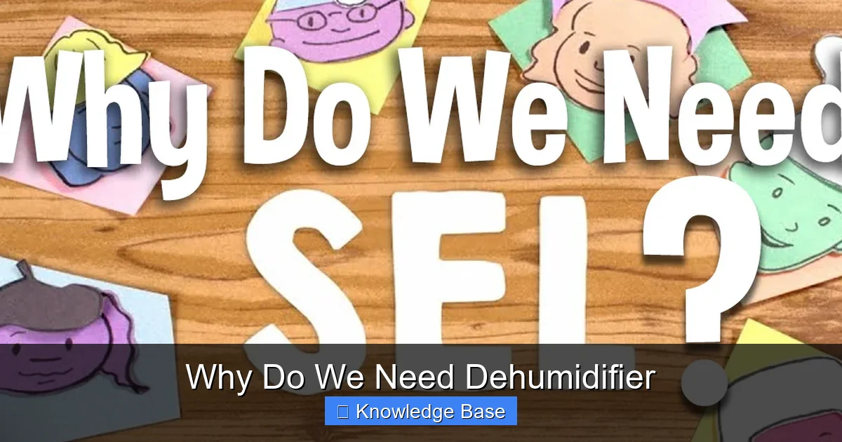 Why Do We Need Dehumidifier