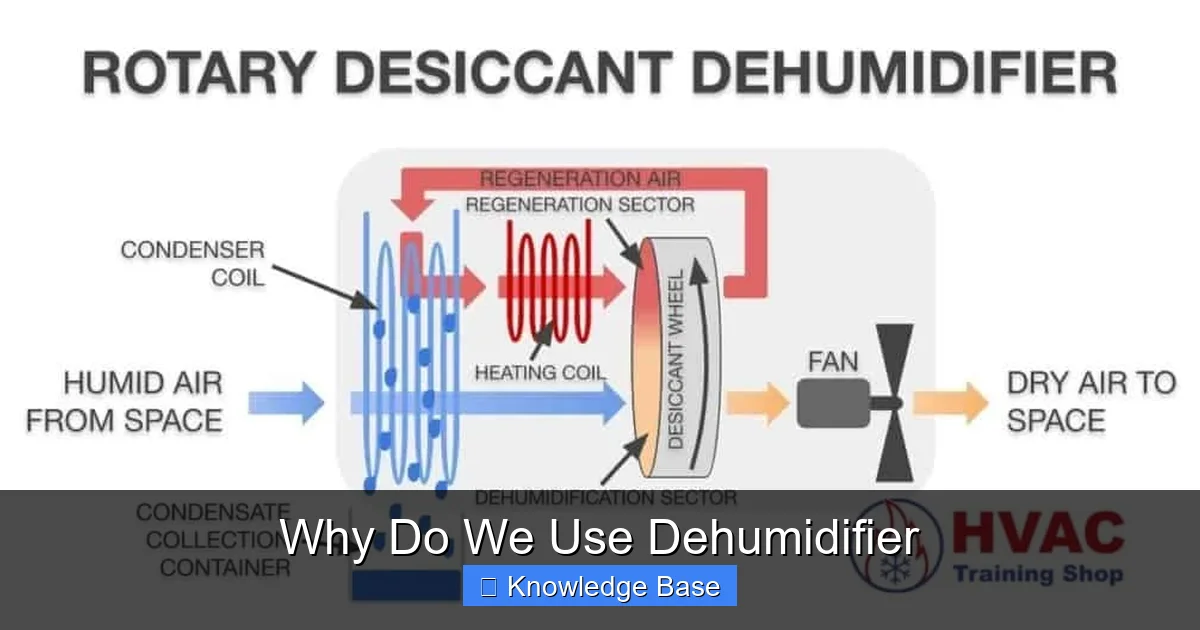 Why Do We Use Dehumidifier