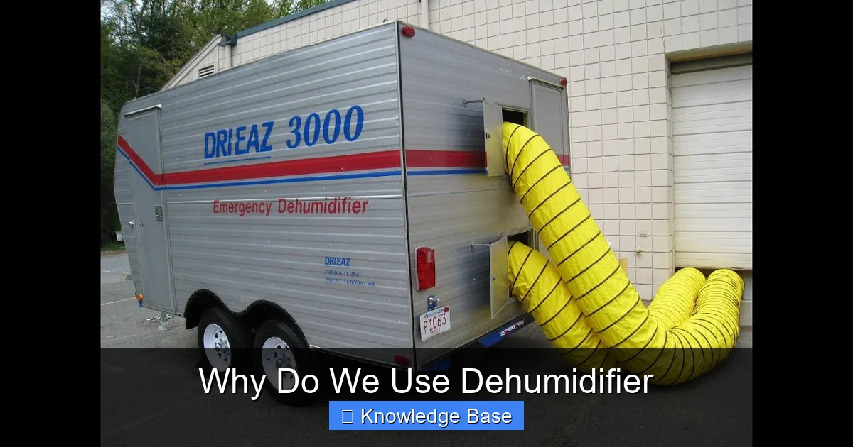 Why Do We Use Dehumidifier
