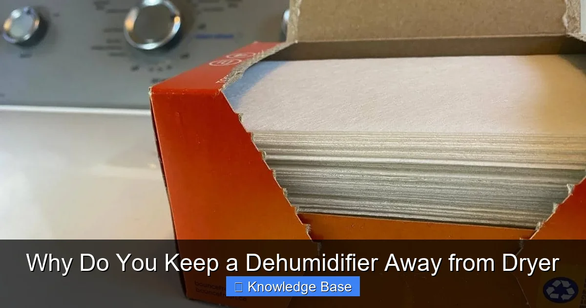 Why Do You Keep a Dehumidifier Away from Dryer