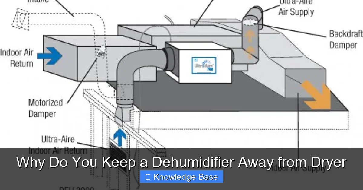 Why Do You Keep a Dehumidifier Away from Dryer