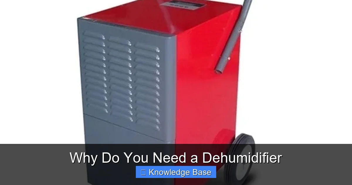 Why Do You Need a Dehumidifier