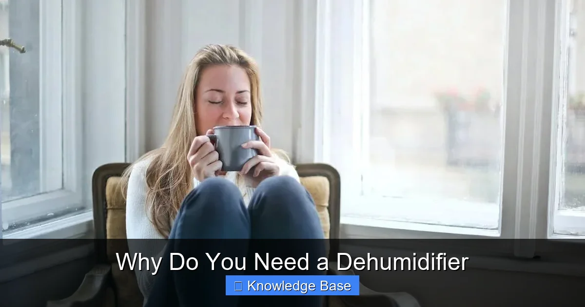 Why Do You Need a Dehumidifier