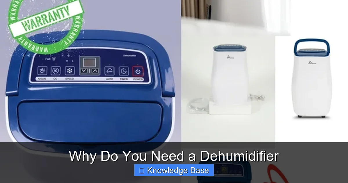 Why Do You Need a Dehumidifier