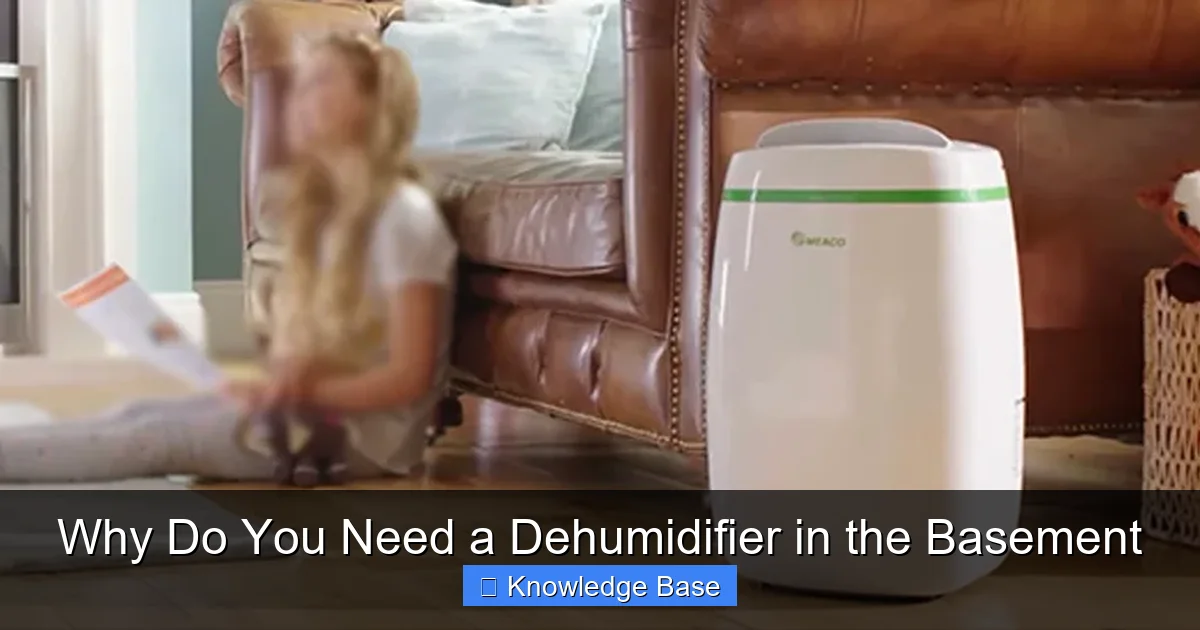 Why Do You Need a Dehumidifier in the Basement