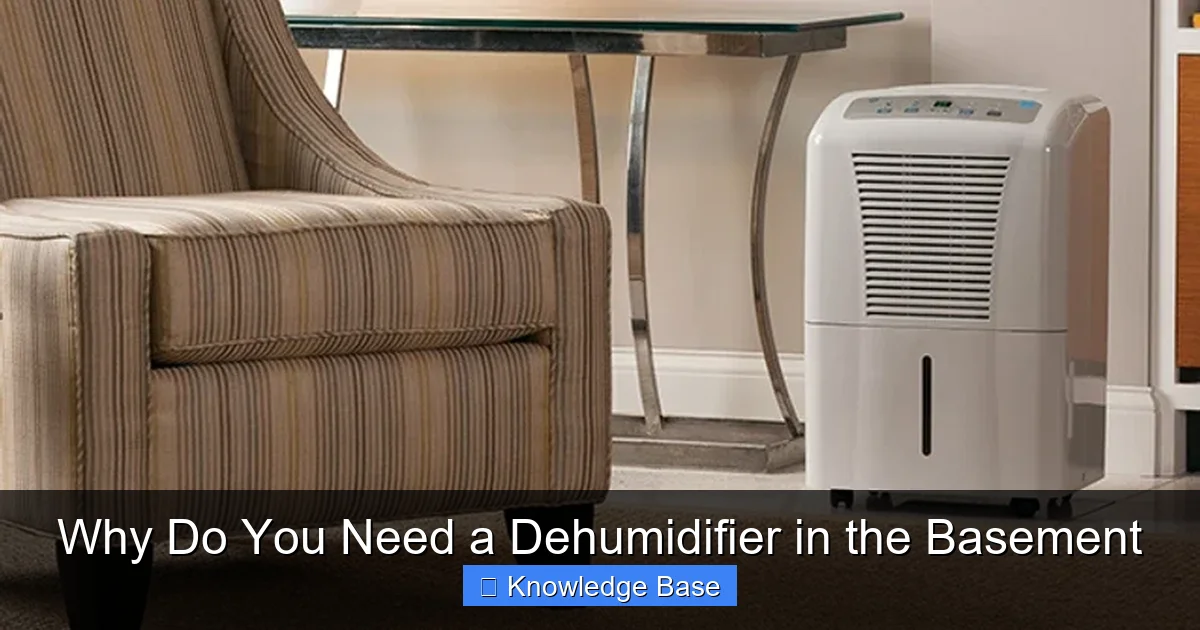 Why Do You Need a Dehumidifier in the Basement