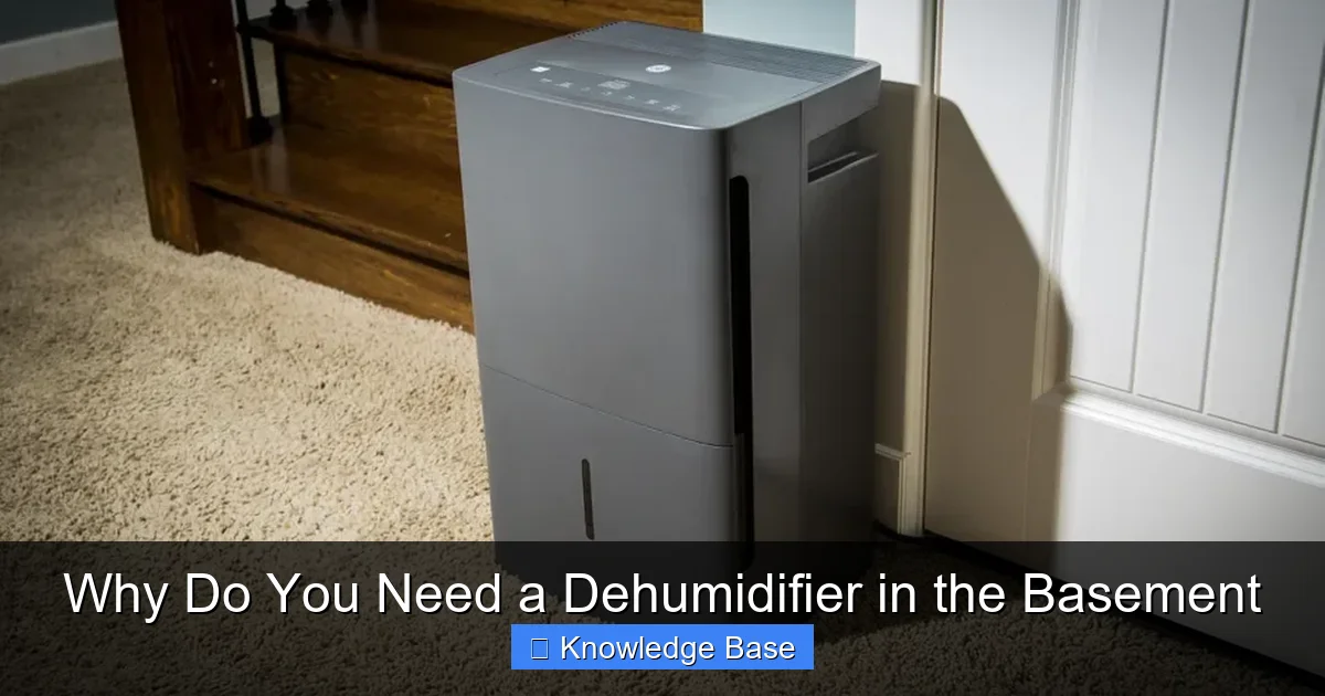 Why Do You Need a Dehumidifier in the Basement