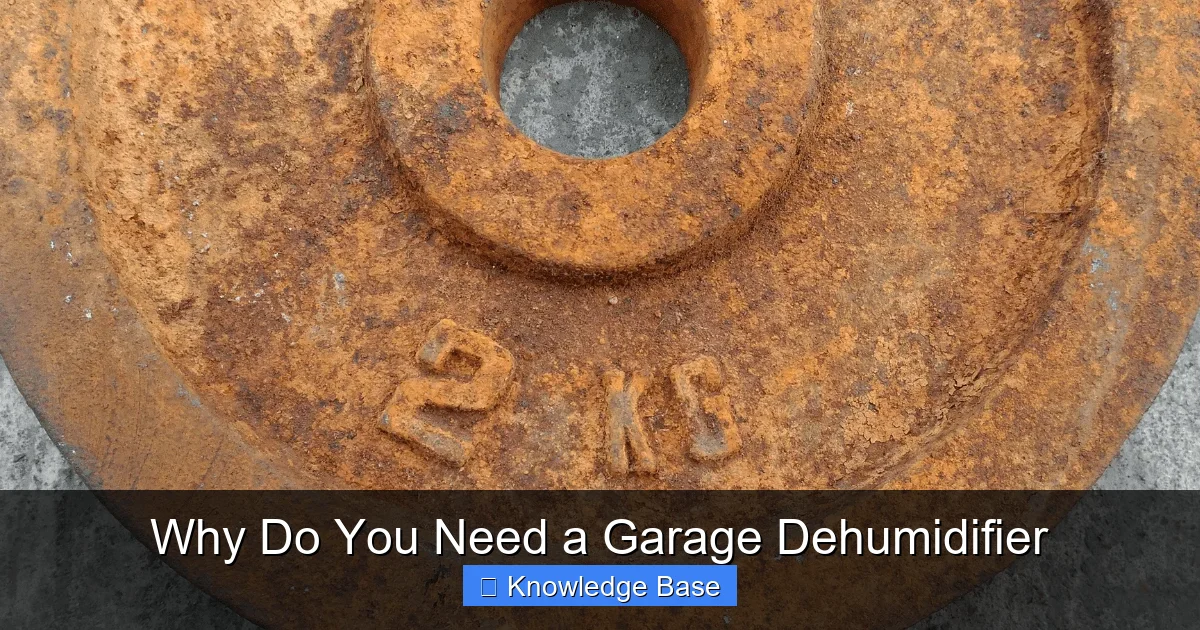 Why Do You Need a Garage Dehumidifier