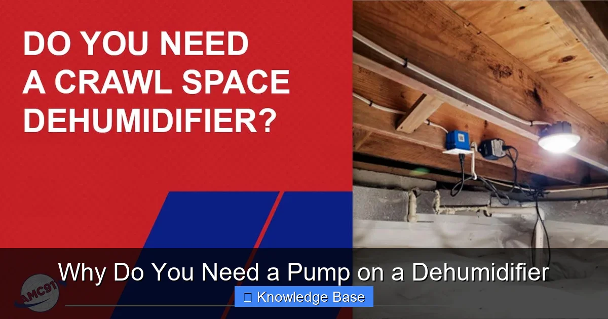 Why Do You Need a Pump on a Dehumidifier