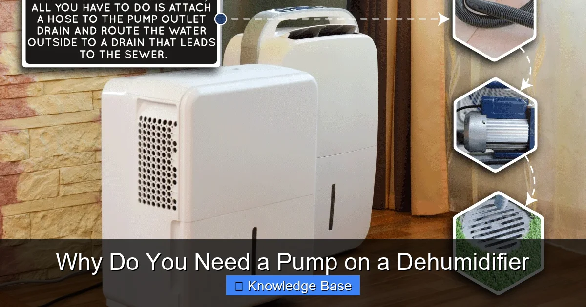 Why Do You Need a Pump on a Dehumidifier