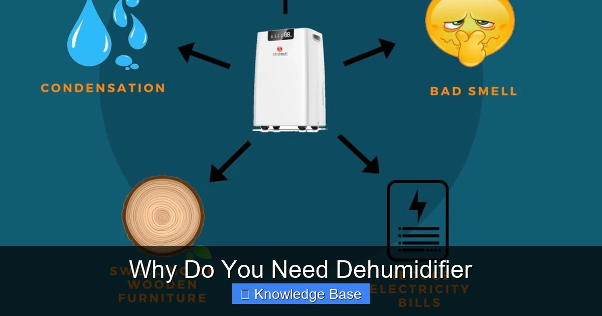 Why Do You Need Dehumidifier