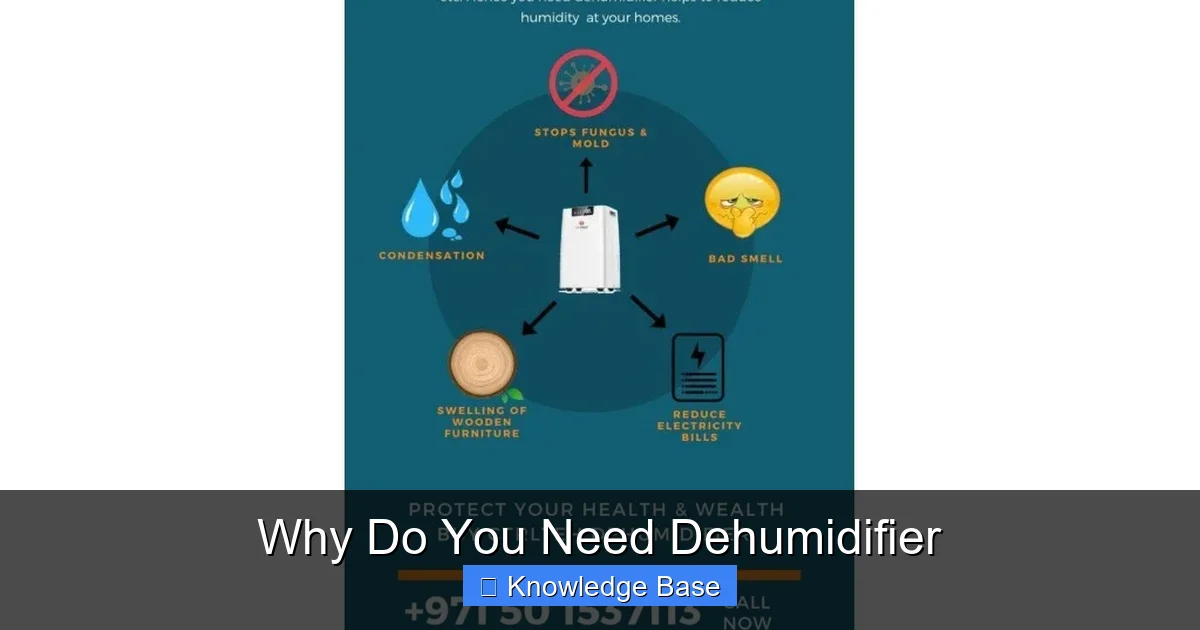 Why Do You Need Dehumidifier