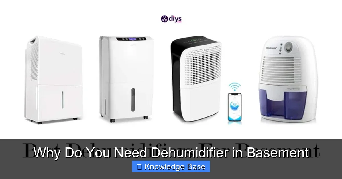 Why Do You Need Dehumidifier in Basement