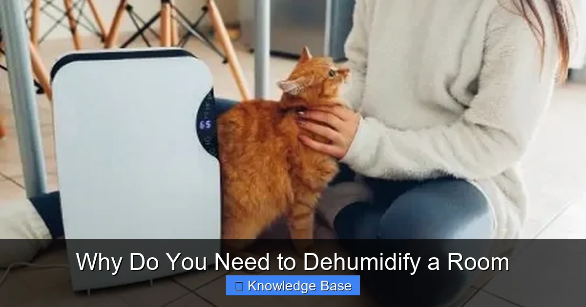 Why Do You Need to Dehumidify a Room
