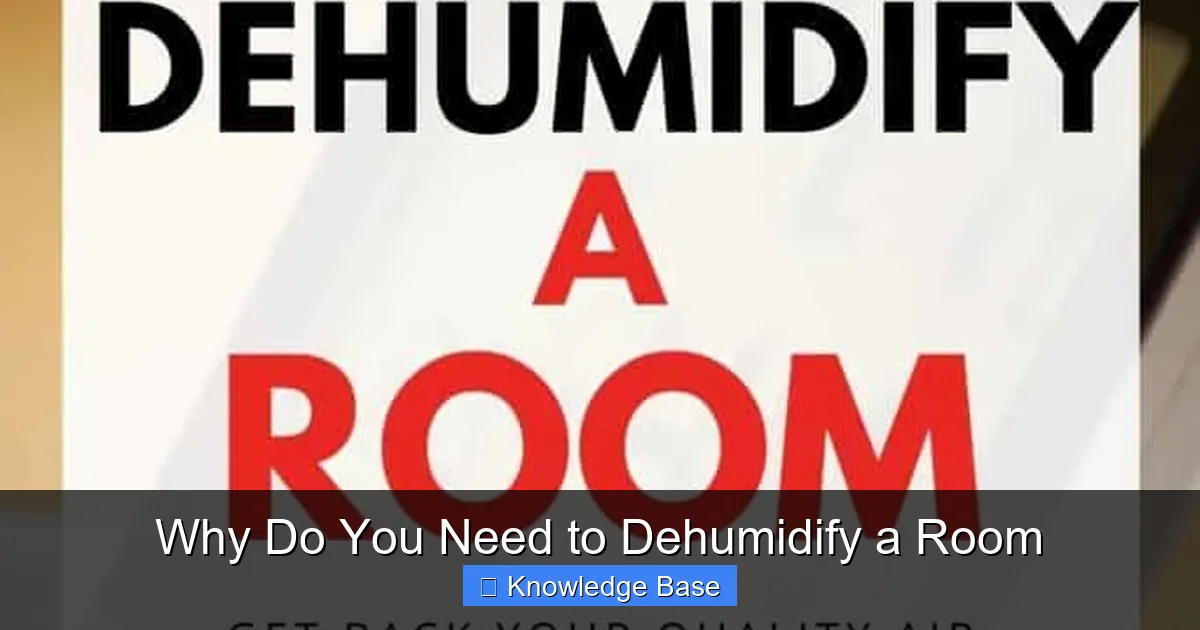 Why Do You Need to Dehumidify a Room