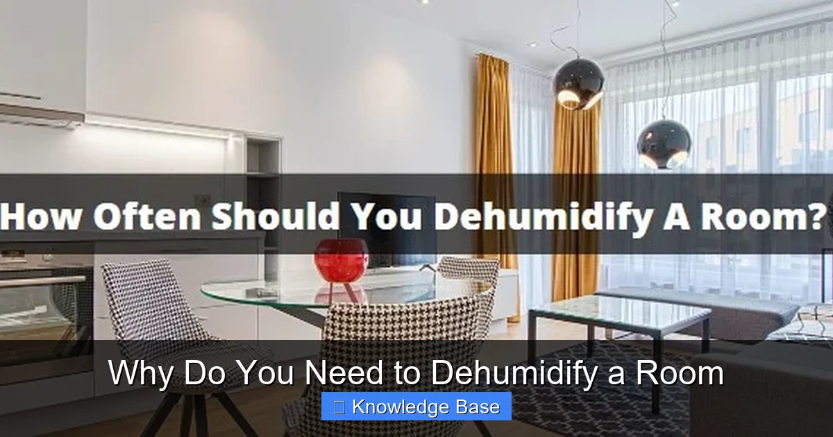 Why Do You Need to Dehumidify a Room