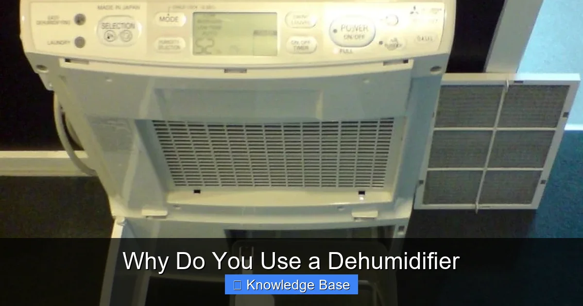 Why Do You Use a Dehumidifier