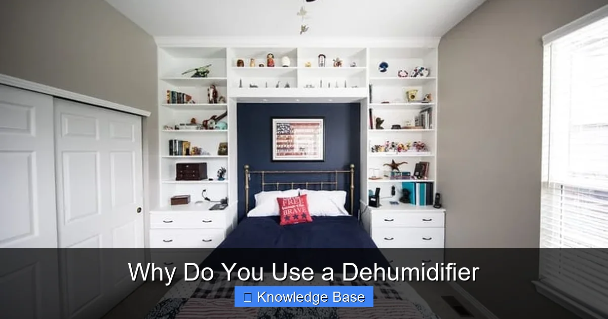 Why Do You Use a Dehumidifier