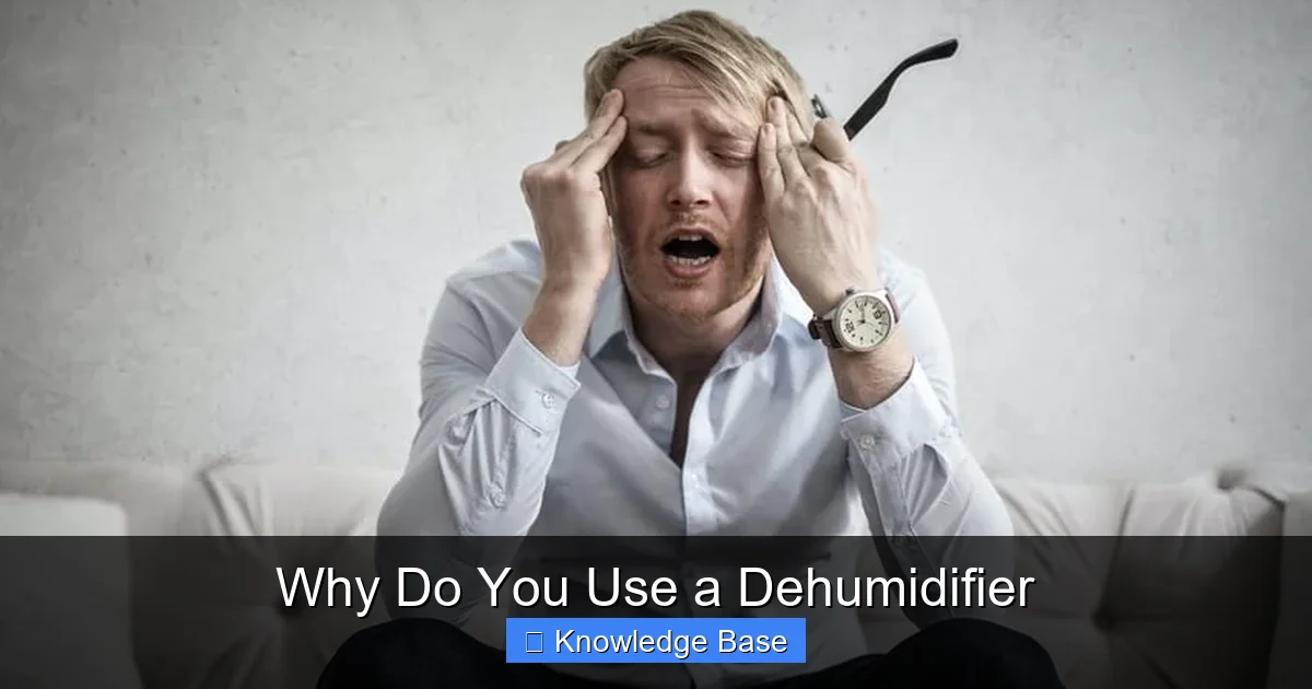 Why Do You Use a Dehumidifier
