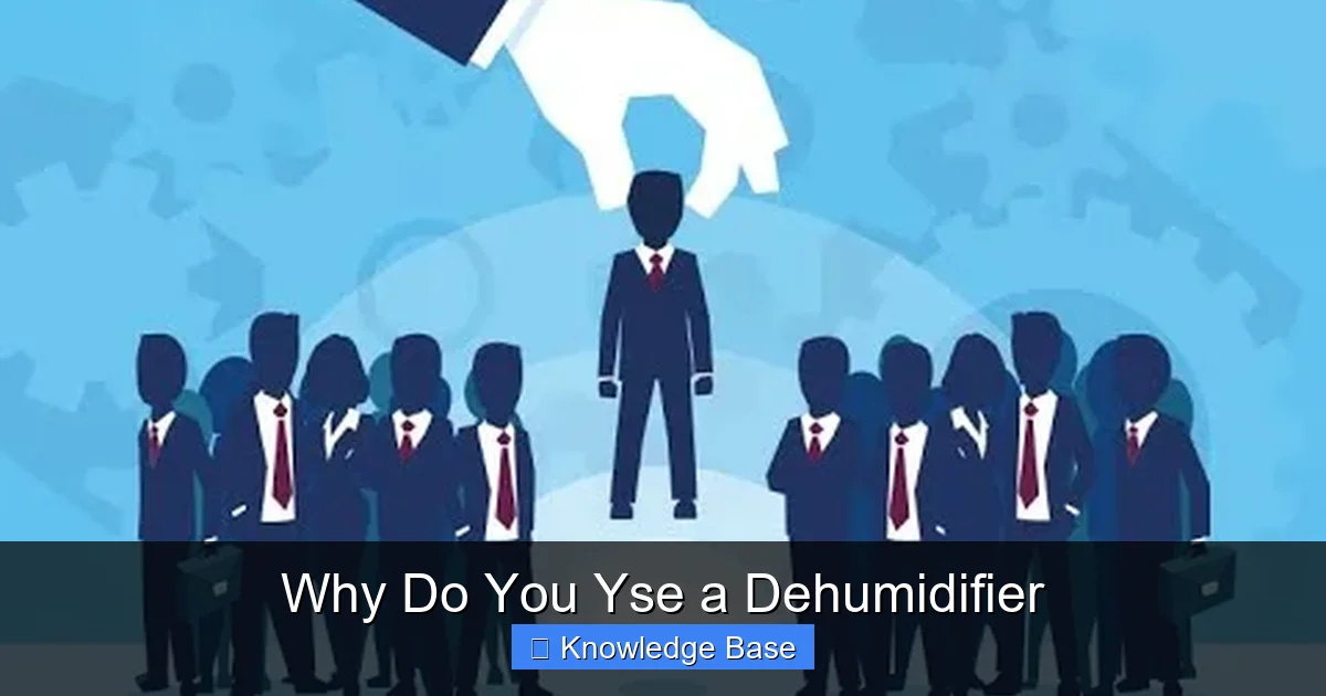 Why Do You Yse a Dehumidifier