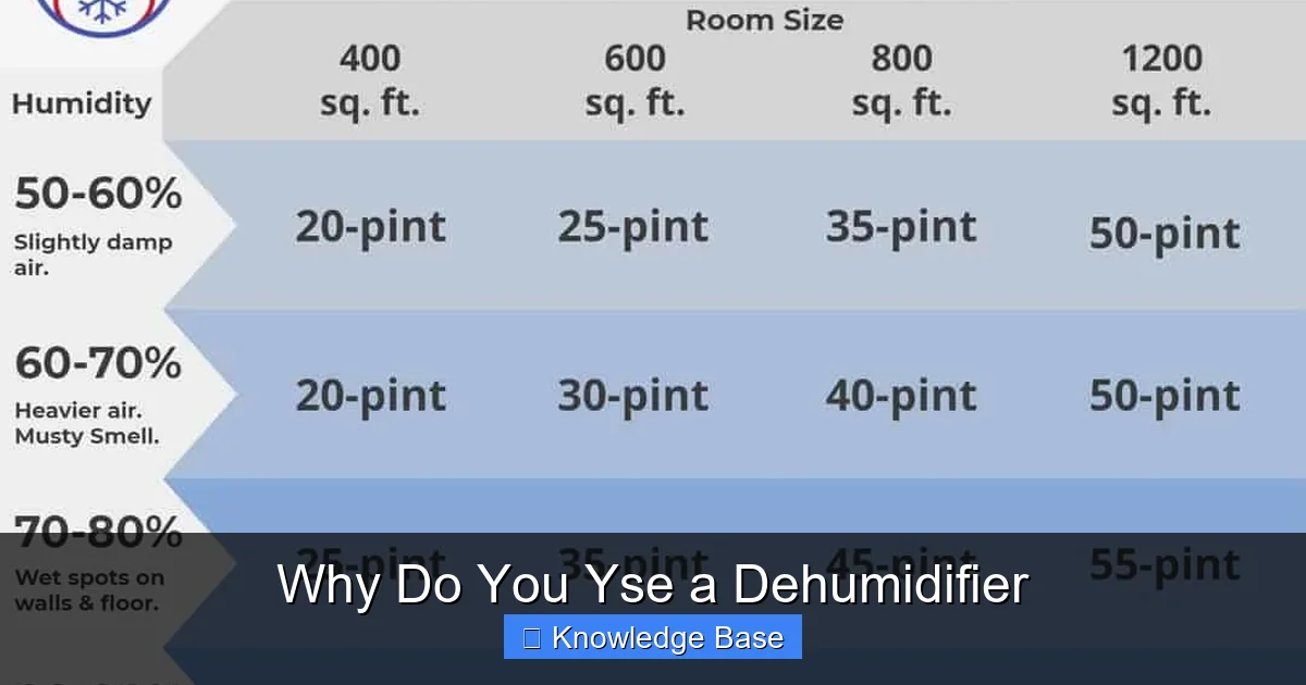 Why Do You Yse a Dehumidifier