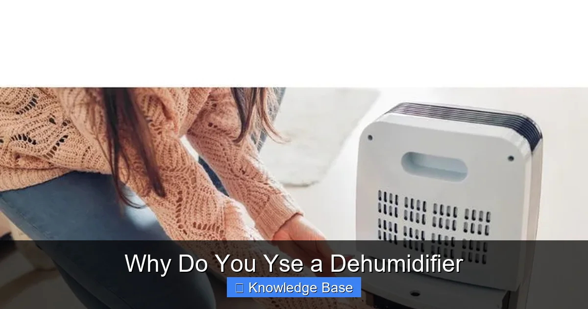 Why Do You Yse a Dehumidifier
