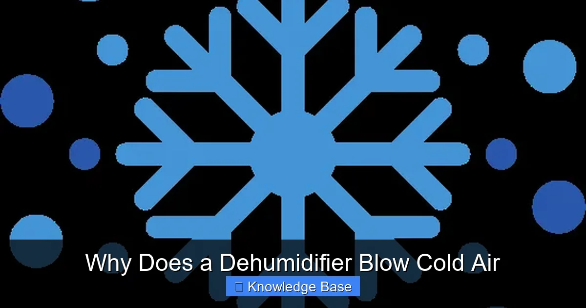 Why Does a Dehumidifier Blow Cold Air