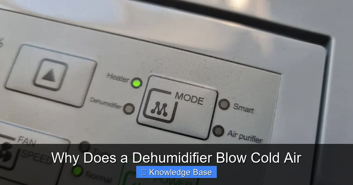 Why Does a Dehumidifier Blow Cold Air