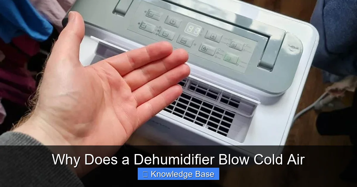 Why Does a Dehumidifier Blow Cold Air