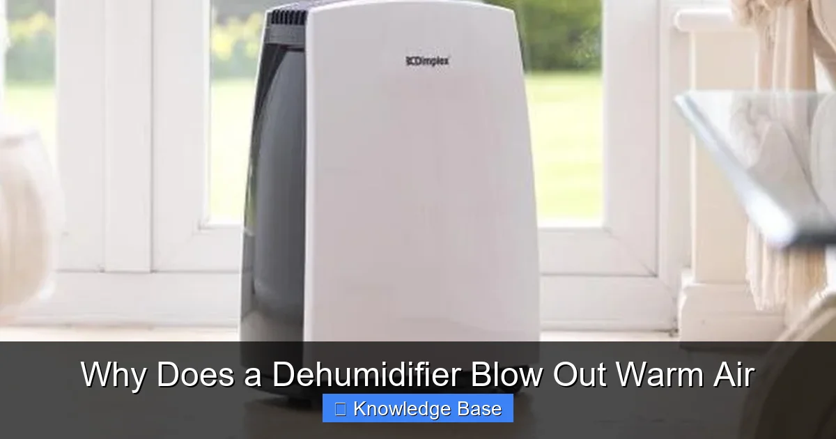 Why Does a Dehumidifier Blow Out Warm Air