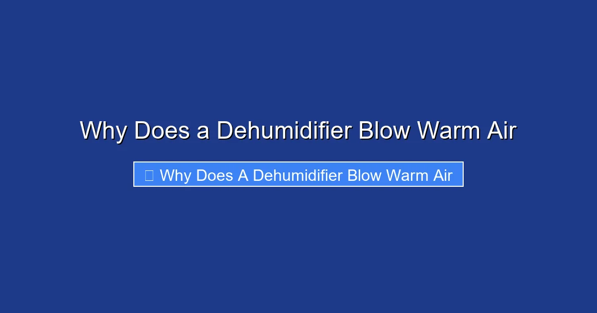 Why Does a Dehumidifier Blow Warm Air